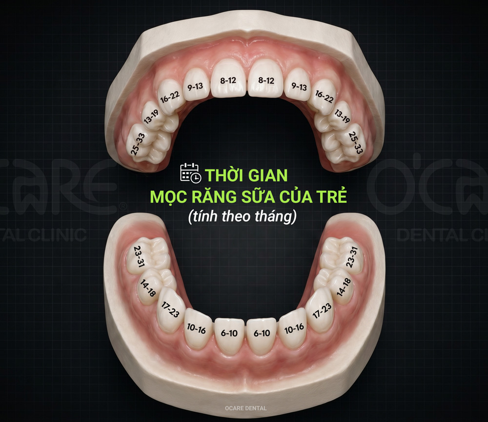 thoi gian mọc răng sữa ở trẻ ema